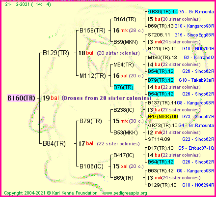 Pedigree of B160(TR) :
four generations presented
it's temporarily unavailable, sorry!