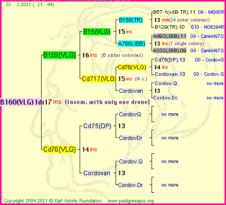 Pedigree of B160(VLG)1dr :
four generations presented
it's temporarily unavailable, sorry!