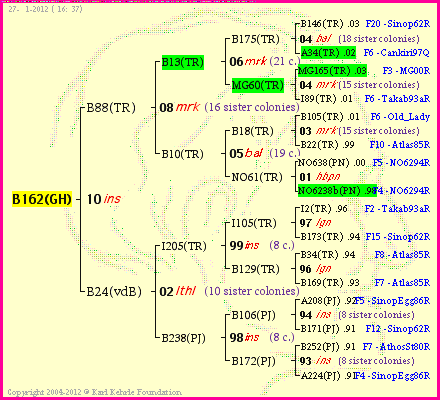 Pedigree of B162(GH) :
four generations presented