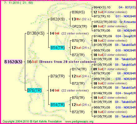 Pedigree of B162(KS) :
four generations presented<br />it's temporarily unavailable, sorry!