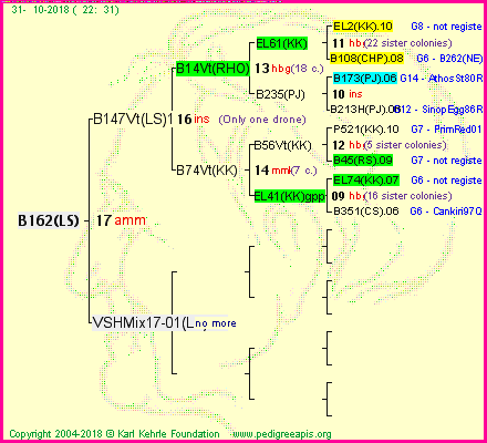 Pedigree of B162(LS) :
four generations presented<br />it's temporarily unavailable, sorry!