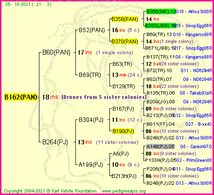 Pedigree of B162(PAN) :
four generations presented
it's temporarily unavailable, sorry!