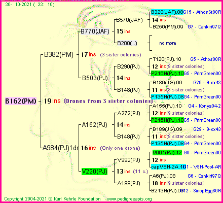 Pedigree of B162(PM) :
four generations presented
it's temporarily unavailable, sorry!