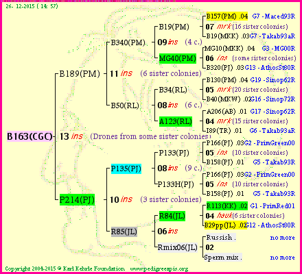 Pedigree of B163(CGC) :
four generations presented