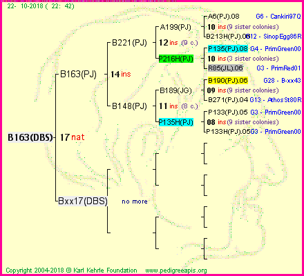 Pedigree of B163(DBS) :
four generations presented<br />it's temporarily unavailable, sorry!