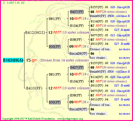 Pedigree of B163(HGS) :
four generations presented