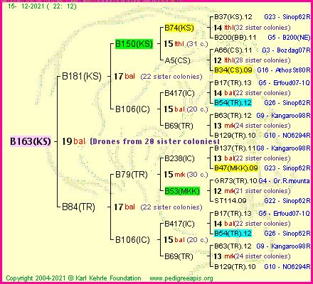 Pedigree of B163(KS) :
four generations presented
it's temporarily unavailable, sorry!