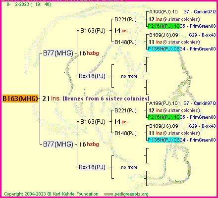 Pedigree of B163(MHG) :
four generations presented
it's temporarily unavailable, sorry!