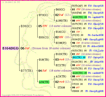 Pedigree of B164(HGS) :
four generations presented