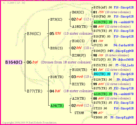 Pedigree of B164(IC) :
four generations presented
it's temporarily unavailable, sorry!