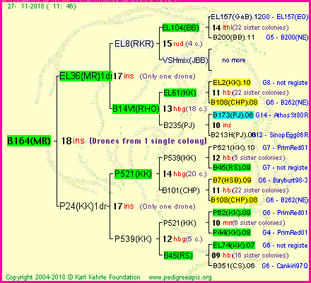 Pedigree of B164(MR) :
four generations presented<br />it's temporarily unavailable, sorry!