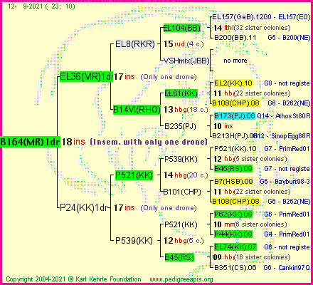 Pedigree of B164(MR)1dr :
four generations presented
it's temporarily unavailable, sorry!