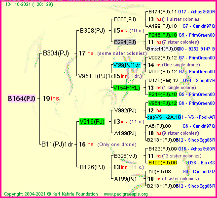 Pedigree of B164(PJ) :
four generations presented
it's temporarily unavailable, sorry!