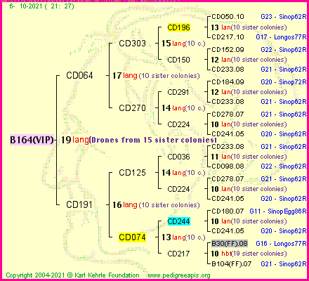 Pedigree of B164(VIP) :
four generations presented
it's temporarily unavailable, sorry!