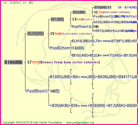 Pedigree of B166(BB) :
four generations presented<br />it's temporarily unavailable, sorry!