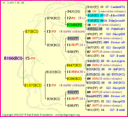 Pedigree of B166(BCI) :
four generations presented