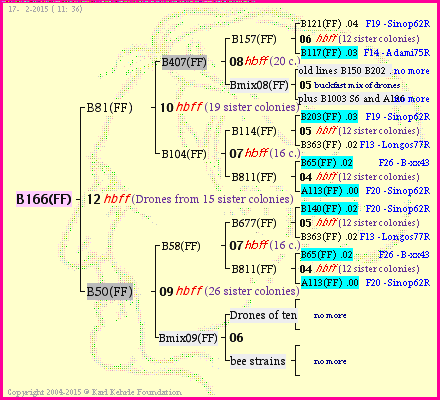 Pedigree of B166(FF) :
four generations presented