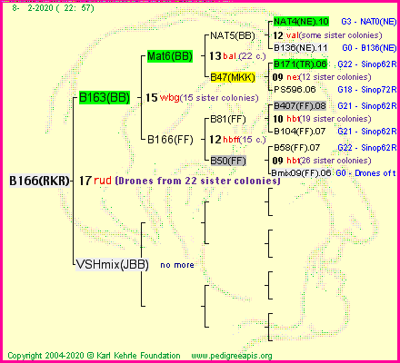 Pedigree of B166(RKR) :
four generations presented<br />it's temporarily unavailable, sorry!