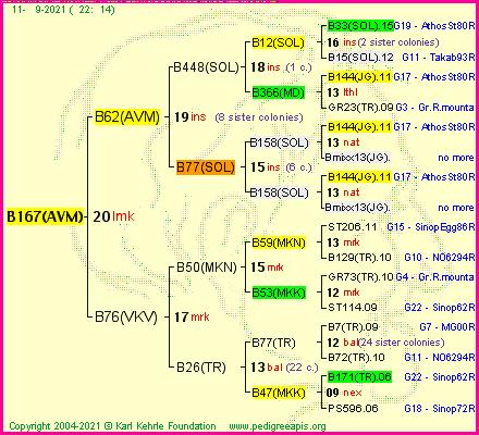 Pedigree of B167(AVM) :
four generations presented
it's temporarily unavailable, sorry!