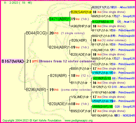 Pedigree of B167(MAK) :
four generations presented
it's temporarily unavailable, sorry!