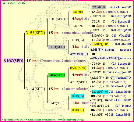 Pedigree of B167(SPD) :
four generations presented<br />it's temporarily unavailable, sorry!