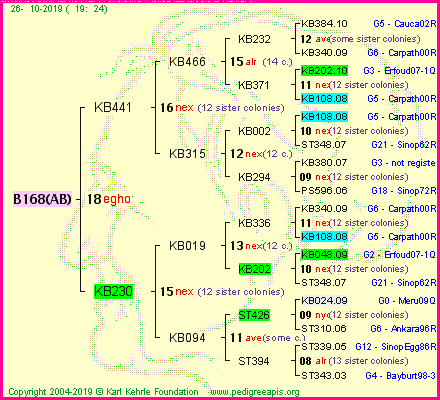 Pedigree of B168(AB) :
four generations presented<br />it's temporarily unavailable, sorry!