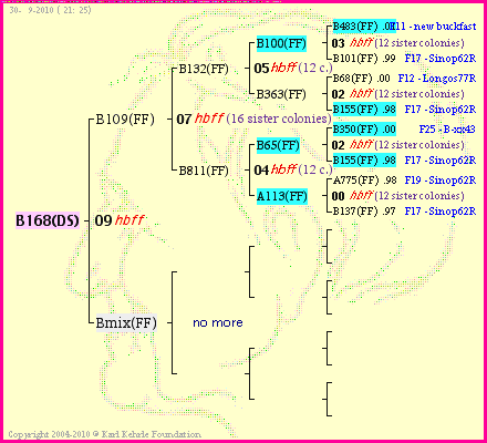 Pedigree of B168(DS) :
four generations presented