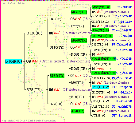 Pedigree of B168(IC) :
four generations presented