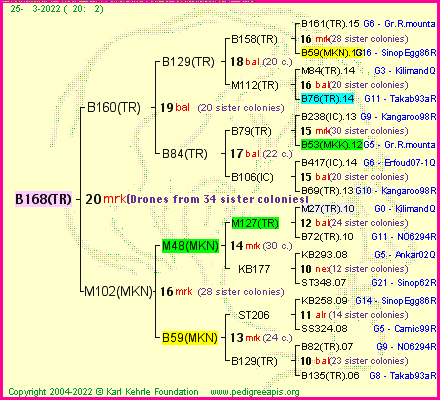 Pedigree of B168(TR) :
four generations presented
it's temporarily unavailable, sorry!