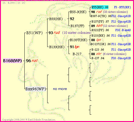 Pedigree of B168(WP) :
four generations presented