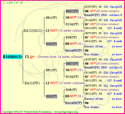 Pedigree of B169(HGS) :
four generations presented