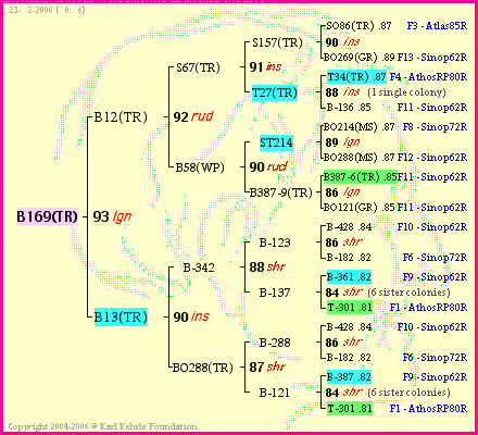 Pedigree of B169(TR) :
four generations presented
it's temporarily unavailable, sorry!