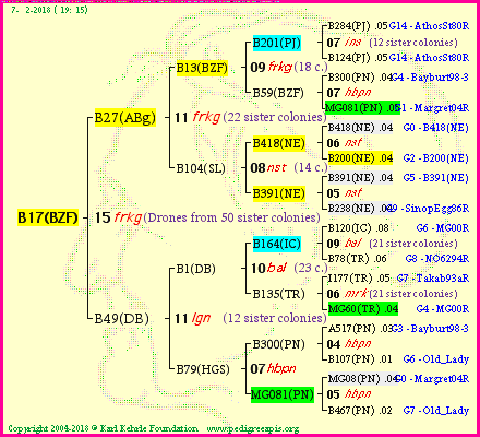 Pedigree of B17(BZF) :
four generations presented
it's temporarily unavailable, sorry!