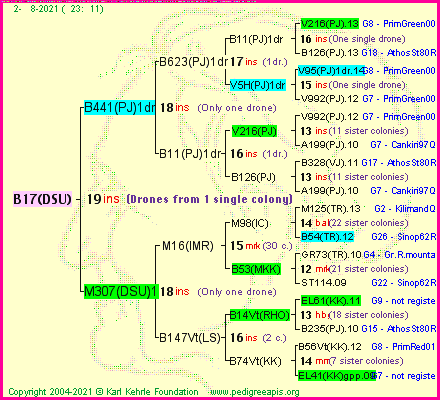 Pedigree of B17(DSU) :
four generations presented
it's temporarily unavailable, sorry!