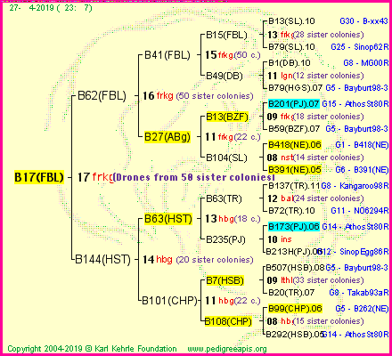 Pedigree of B17(FBL) :
four generations presented<br />it's temporarily unavailable, sorry!