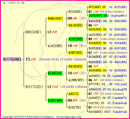 Pedigree of B17(GHK) :
four generations presented<br />it's temporarily unavailable, sorry!