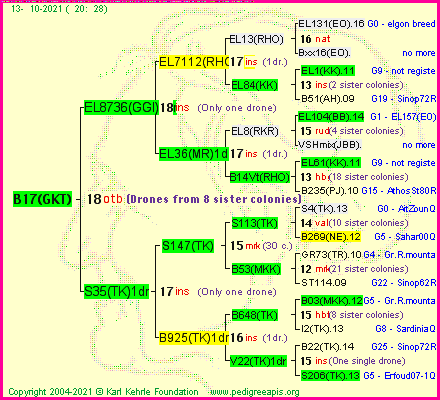 Pedigree of B17(GKT) :
four generations presented
it's temporarily unavailable, sorry!