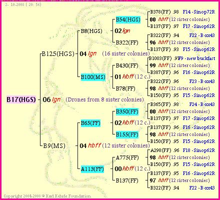 Pedigree of B17(HGS) :
four generations presented