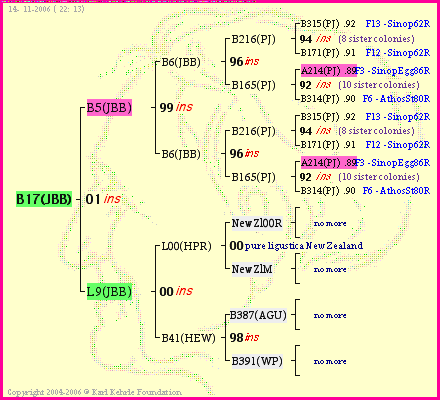 Pedigree of B17(JBB) :
four generations presented