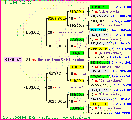 Pedigree of B17(LOZ) :
four generations presented
it's temporarily unavailable, sorry!