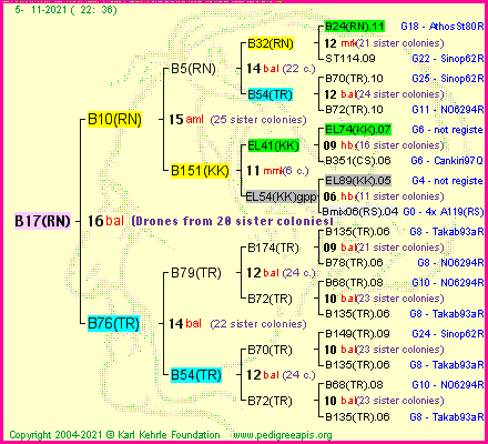 Pedigree of B17(RN) :
four generations presented
it's temporarily unavailable, sorry!