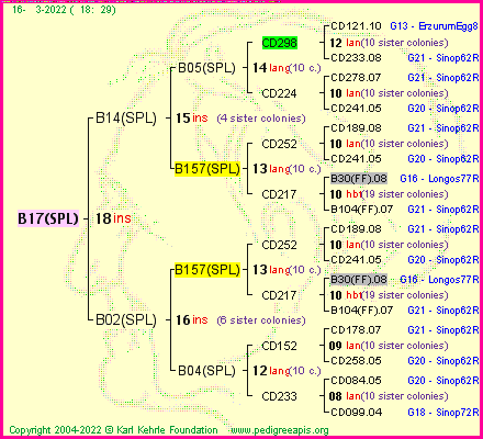 Pedigree of B17(SPL) :
four generations presented
it's temporarily unavailable, sorry!