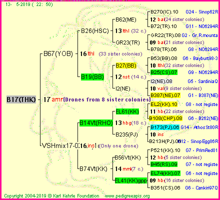 Pedigree of B17(THK) :
four generations presented<br />it's temporarily unavailable, sorry!