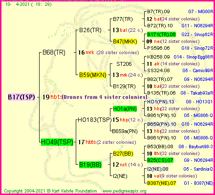 Pedigree of B17(TSP) :
four generations presented
it's temporarily unavailable, sorry!