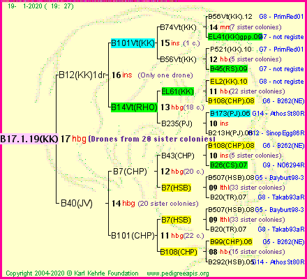 Pedigree of B17.1.19(KK) :
four generations presented<br />it's temporarily unavailable, sorry!