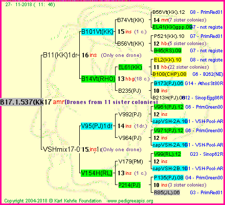 Pedigree of B17.1.537(KK) :
four generations presented<br />it's temporarily unavailable, sorry!