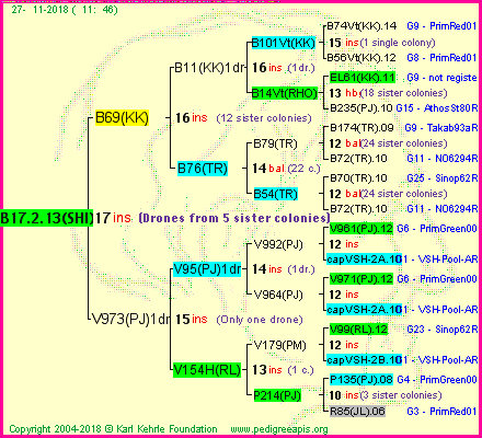 Pedigree of B17.2.13(SHI) :
four generations presented<br />it's temporarily unavailable, sorry!