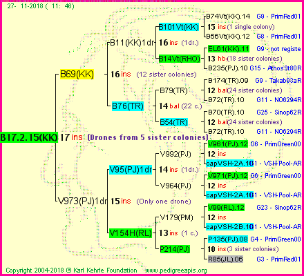 Pedigree of B17.2.15(KK) :
four generations presented<br />it's temporarily unavailable, sorry!