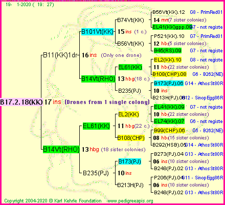 Pedigree of B17.2.18(KK) :
four generations presented<br />it's temporarily unavailable, sorry!