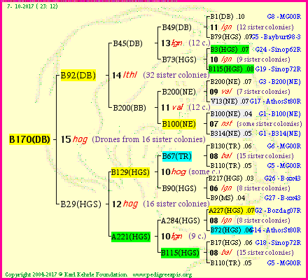 Pedigree of B170(DB) :
four generations presented